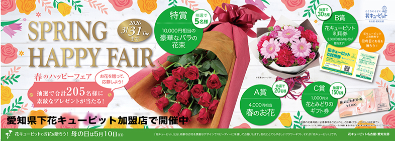 �ԃL���[�s�̑r���n�K�L